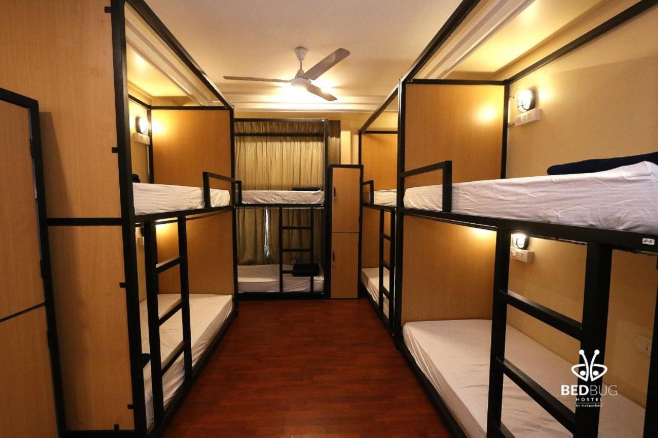 بيت شباب Madpackers Delhi West نيودلهي المظهر الخارجي الصورة